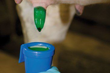 Optilactol garrafa de 20 kg sellador antiséptico de ubres para producción ecológica - IGORMA Canarias