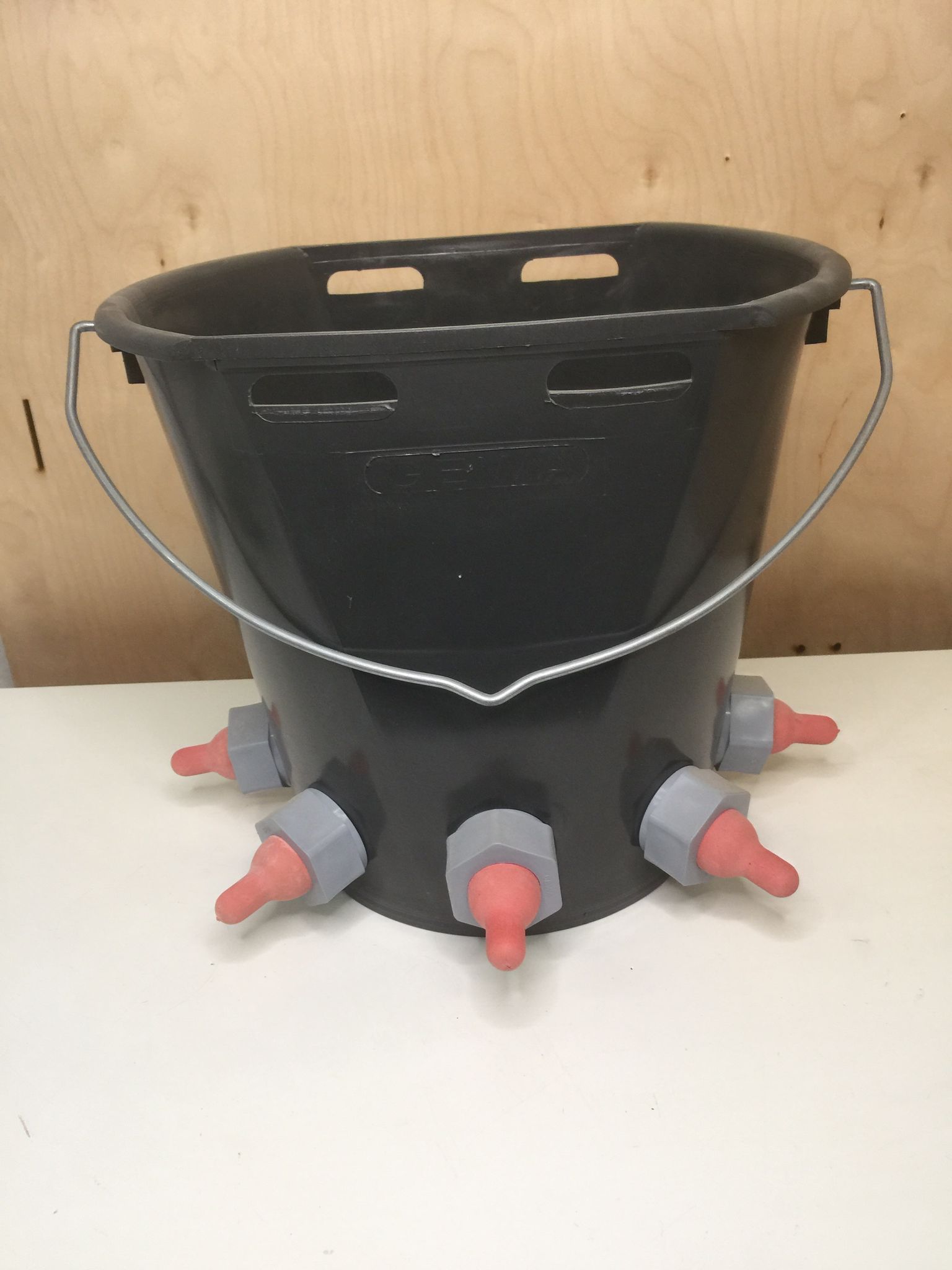 Cubo gris de lactancia con 5 tetinas rojas de goma para baifos y cabritos - IGORMA Canarias