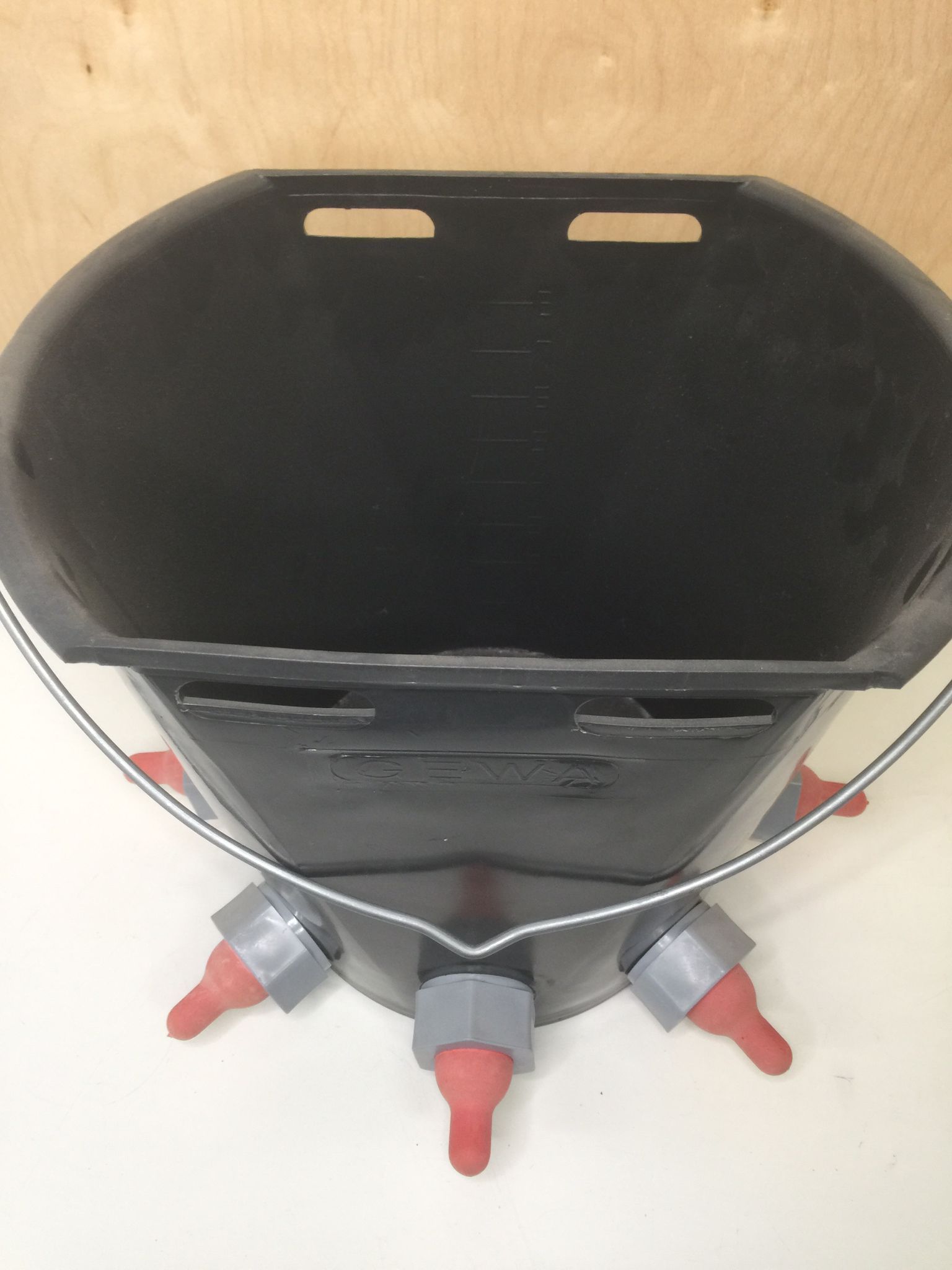 Cubo gris de lactancia con 5 tetinas rojas de goma para baifos y cabritos - IGORMA Canarias